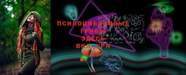 apvp Богданович